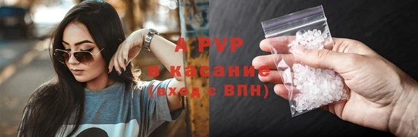 PSILOCYBIN Аркадак