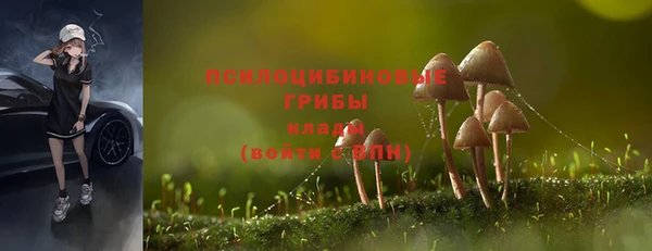 2c-b Арсеньев
