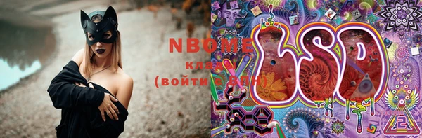 PSILOCYBIN Аркадак