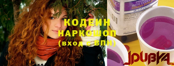 PSILOCYBIN Аркадак