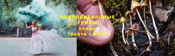СК Армянск