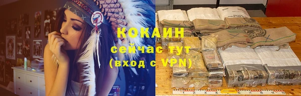 PSILOCYBIN Аркадак